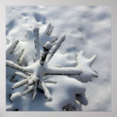 雪毛布 ポスター (正面)