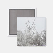 雪氷覆い木#1磁石 マグネット (正面/裏面)