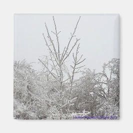 雪氷覆い木#1磁石 マグネット