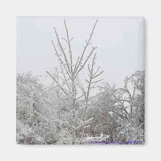 雪氷覆い木#1磁石 マグネット