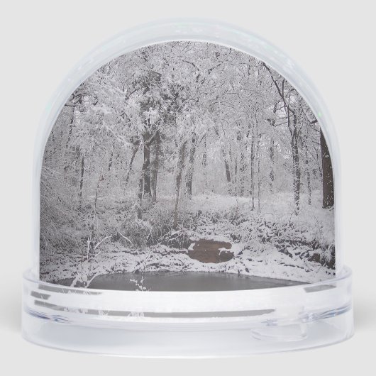 雪池スノーグローブ (裏面)