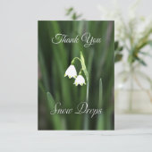 雪滴花サンキューカード サンキューカード (スタンド正面)