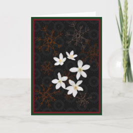 雪片と白いクリスマスの花 シーズンカード