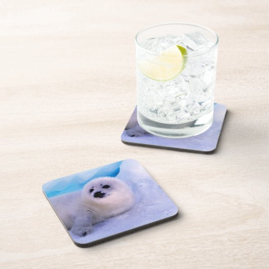 雪片に覆われた小さなハープのアザラシの子犬 コースター (右側)