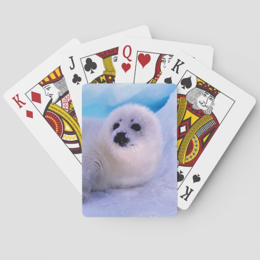 雪片に覆われた小さなハープのアザラシ トランプ (裏面)