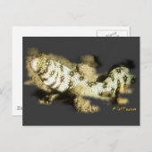 雪片のウナギ ポストカード (正面/裏面)