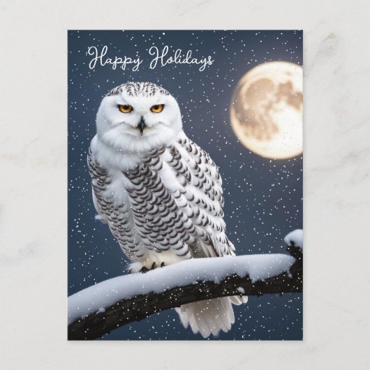 雪片の中のクリスマススノーフクロウ シーズンポストカード (正面)