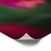 雪片の付いたピンクのバラ ポスター (角)