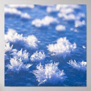 雪片の氷 ポスター