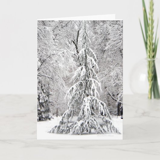 – 雪片の秋が間違った場所にない。 シーズンカード (正面)