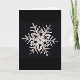 雪片のBentleyの天才クリスマスカード シーズンカード