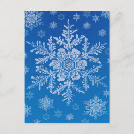 雪片はがき ポストカード