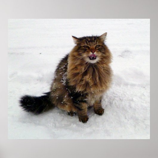 雪片をつかむ ポスター (正面)