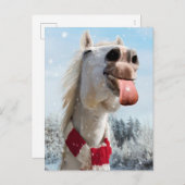 雪片を引く馬 インビテーションポストカード (正面/裏面)