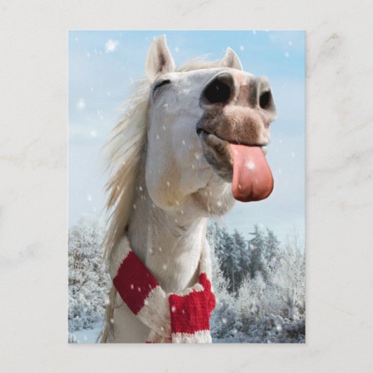 雪片を引く馬 インビテーションポストカード (正面)