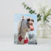 雪片を引く馬 インビテーションポストカード (スタンド正面)