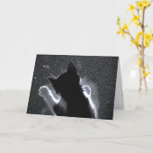 雪片を追う子猫 カード (黄色い花)
