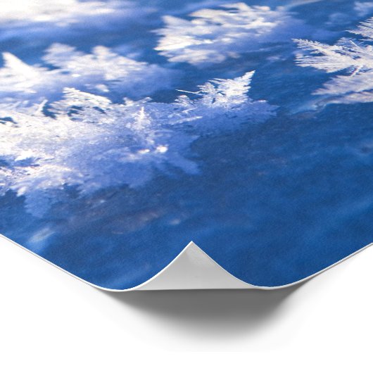 雪片氷 ポスター (角)