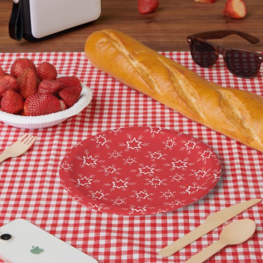 雪片赤と白、雪 ペーパープレート (ピクニック)