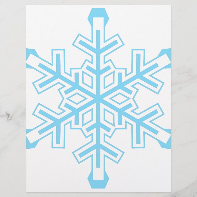 雪片 (正面)
