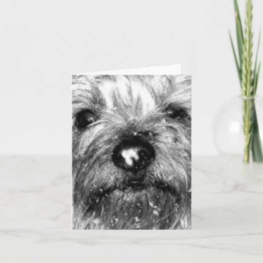 雪片 カード (正面)