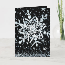 雪片 シーズンカード