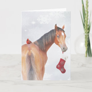 雪片 シーズンカード