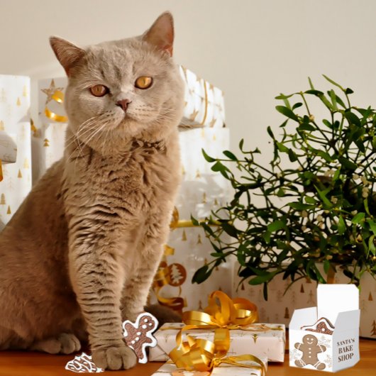 雪片&ジンジャーブレッドクッキーホリデークリスマス フェイバーボックス