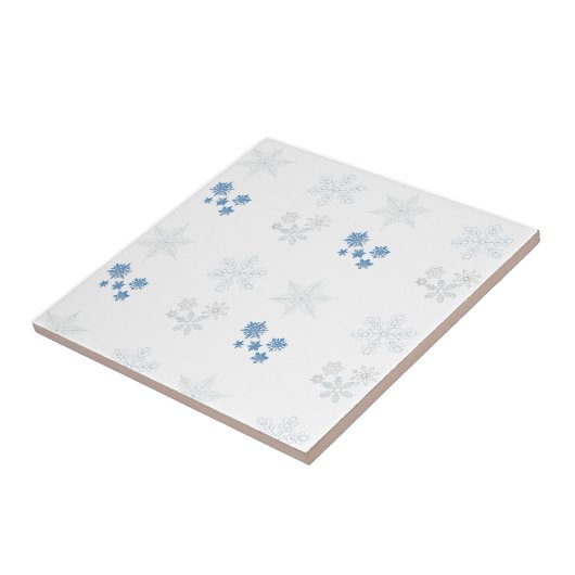 雪片 タイル (側面)