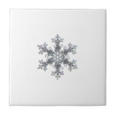 雪片 タイル (正面)