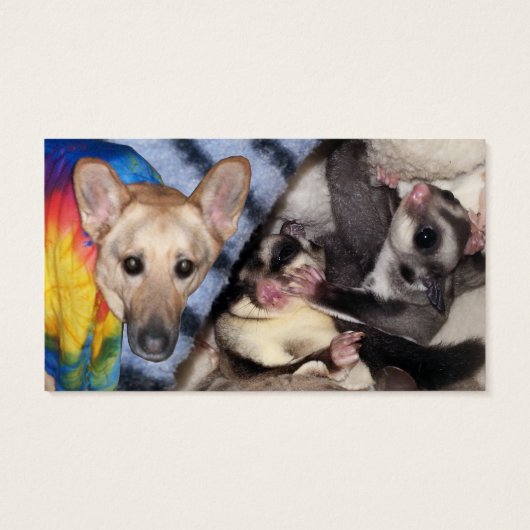 雪片，ドイツの羊飼い，シュガーグライダークリスマスラベル (裏面)