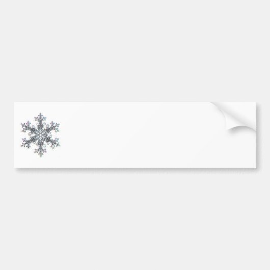 雪片 バンパーステッカー (正面)
