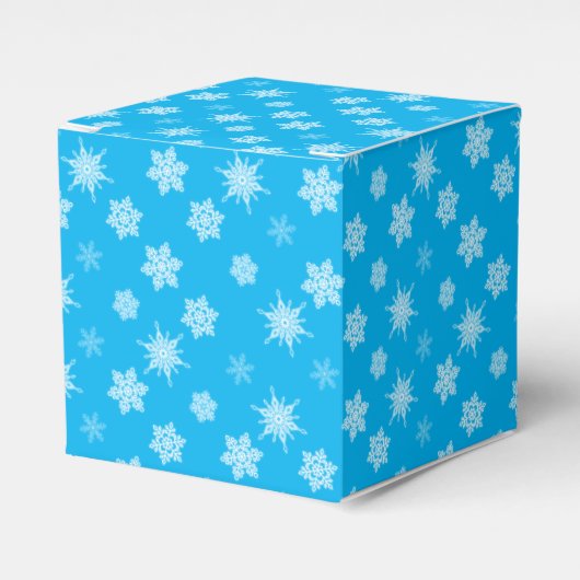 雪片 フェイバーボックス (正面サイド)