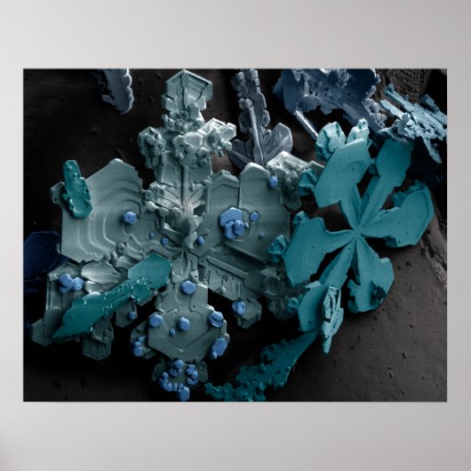 雪片 ポスター (正面)