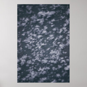雪片 ポスター