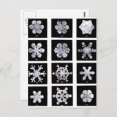 雪片 ポストカード (正面/裏面)