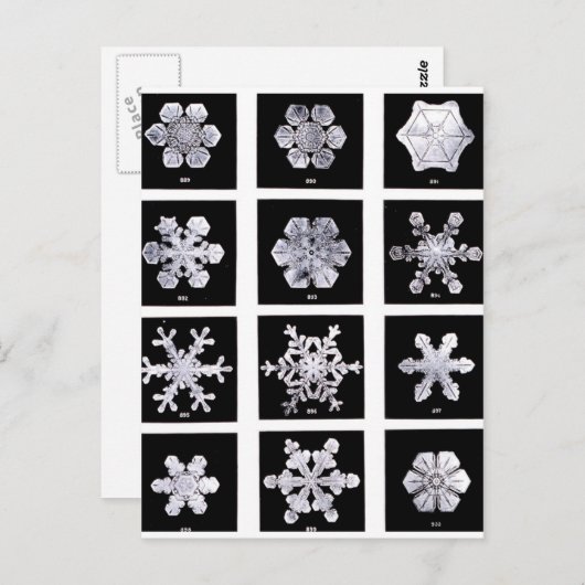 雪片 ポストカード (正面/裏面)