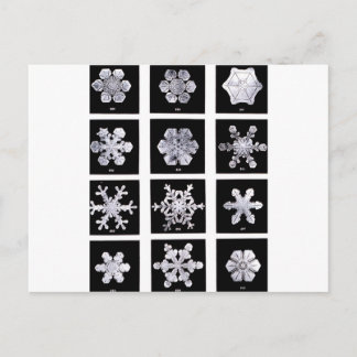 雪片 ポストカード