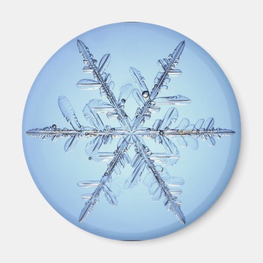 雪片 マグネット (正面)