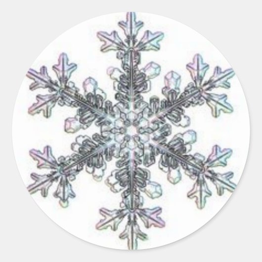 雪片 ラウンドシール (正面)