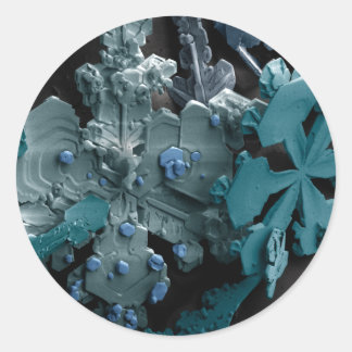 雪片 ラウンドシール