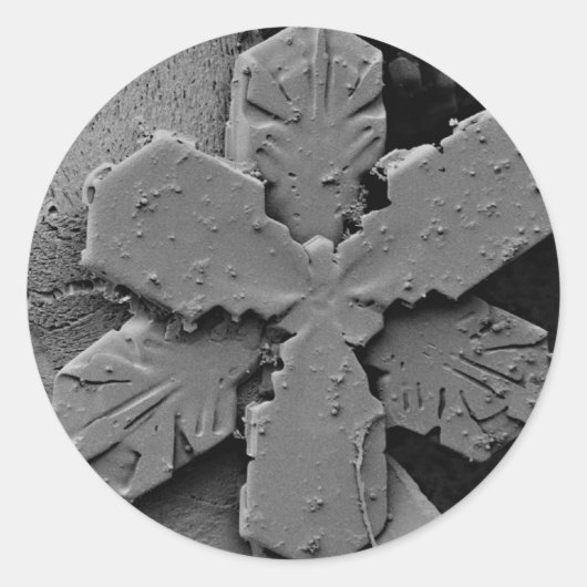 雪片 ラウンドシール (正面)