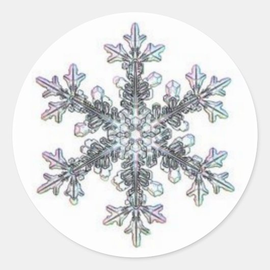 雪片 ラウンドシール (正面)