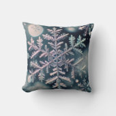 雪片/月 クッション (正面)