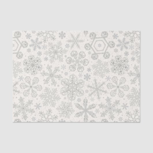 雪片 薄葉紙 (正面)