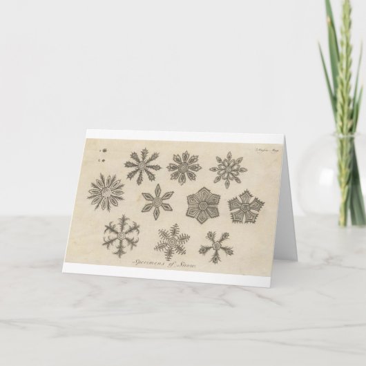 雪片- 1791年 シーズンカード (正面)
