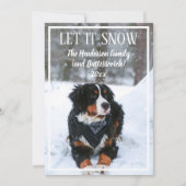 雪犬の写真クリスマスホリデーカード シーズンカード (正面)