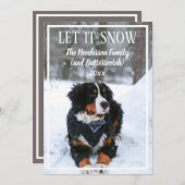 雪犬の写真クリスマスホリデーカード シーズンカード (正面/裏面)