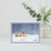 雪犬はがき ポストカード (スタンド正面)