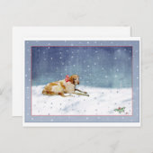 雪犬はがき ポストカード (正面/裏面)